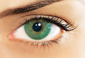 EmeraldColor Contact Lenses - Color Contacts - Colored Eye Lenses